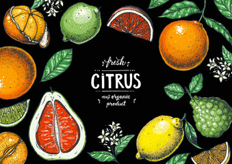 Wall Mural - Fresh citrus frame. Hand drawn vector illustration. Organic food, citrus design template. Colored illustration. Citrus collection.