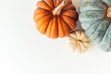 Flat Lay Of Orange Grey And White Pumpkins On The White Background. Halloween Background