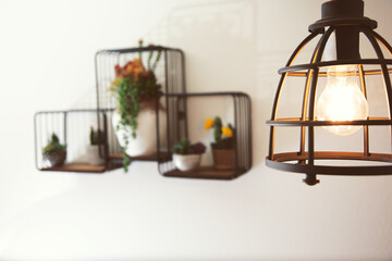 Wall Mural - A view of a contemporary light fixture and a mounted wall decor design featuring metal shelves holding rustic fake plants inside a room.