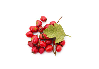 Poster - Hawthorn berries with leaves.