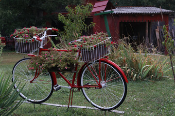 Sticker - Old bike with flowers in garden design