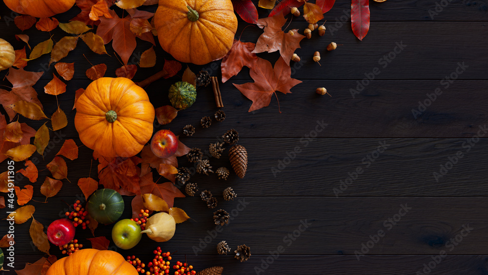Thanksgiving Wallpaper with Fall leaves, Gourds and Acorns on a Dark ...