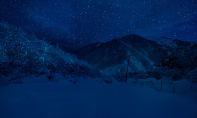 Wall Mural - mountain road through the snowy forest on a full moon night. scenic night winter landscape of dark b