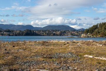 Wall Mural - View of water and seaside town in mountains from Whiffin Spit in British Columbia, Canada