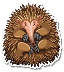 Wall Mural - Echidna cartoon character on white background