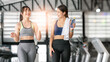 © NAMPIX - Two smiling sporty women relaxing and chatting at gym.