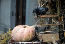 Halloween Decorations: Old Suitcase, Burlap, Bush, Pumpkins, Straw, Lanterns Are Located At The Entrance To The House