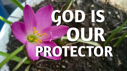Wall Mural - God is our protector bible words with pink color flower in pot. Christian faith