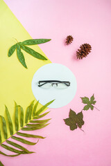 Minimalist concept. half frame square eyeglasses, green leaves, pine flowers on yellow and pink pastel color background. top view flat lay