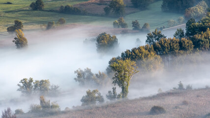 Poster - Fog on the river at morning, Italy landscape