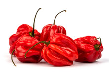Red Hot Habanero Peppers Isolated On White Background
