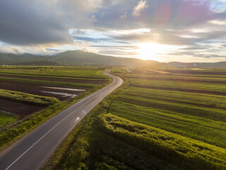 Canvas Print - Asphalt road amid green agricultural fields on the background of mountains at sunset