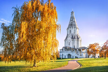 Golden Autumn Trees And The Ascension Church In Kolomenskoye Park In Moscow On An Autumn Sunny Day