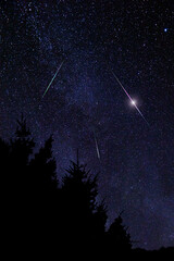 Wall Mural - Evening sky with meteor, shooting stars and Milky Way.