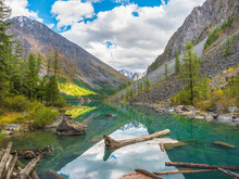 Turquoise Water Pool On A Mountain Lake With Floating Trunks Of Fallen Trees. Amazing Clear Mountain Lake In Forest Among Fir Trees In Clear Sunny Day. Shavlin Lake, Altai.