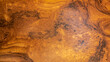 Light brown briar wood background