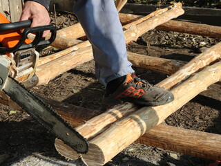 Wall Mural - sawing off part of the logs with a chainsaw close-up, working in a village with building materials using a chainsaw, a wood sawer in the process of preparing logs for construction