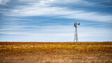 Fototapeta Na sufit - windmill in the field