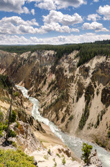 Wall Mural - yellowstone river and falls ingrand canyon in Yellowstone National Park in Wyoming