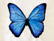 Blue Butterfly Painted With Watercolor. Watercolor Is A Painting Technique In Which Pigments Are Usually Dissolved In Water.
