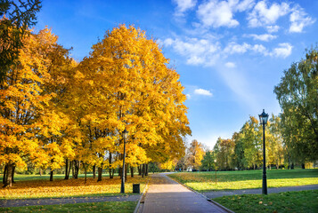 Wall Mural - Golden autumn trees in Kolomenskoye park in Moscow on an autumn sunny day