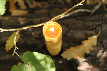 Beeswax candles burning in the forest