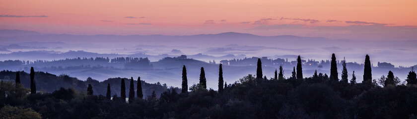 Canvas Print - Cypress landscape tuscany