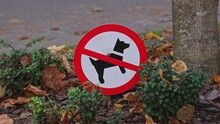 Dogs Not Allowed Sign Placed On City Lawn