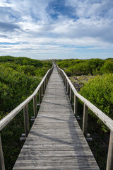 Wall Mural - Wooden pathway leading to the beach