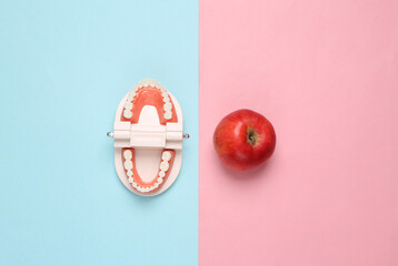 Model of human jaw with apple on pink blue pastel background. Dental care. Creative flat lay. Top view