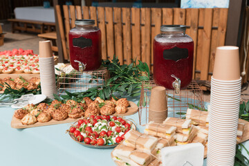 Catering in the outdoor summer park