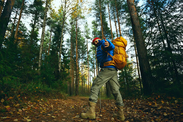 follow me on a hike, a man invites you to a forest hike, autumn landscape in the forest in nature