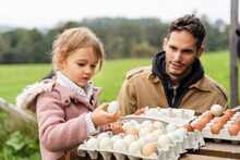Cute Girl Holding Egg Over Container In Organic Farm