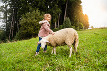 Smiling Cute Girl Standing With Sheep In Green Farm