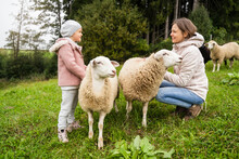 Smiling Mother And Daughter With Sheep Looking At Each Other In Farm