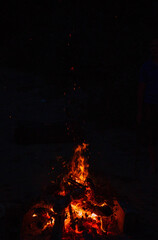 Poster - Vertical shot of fire at night