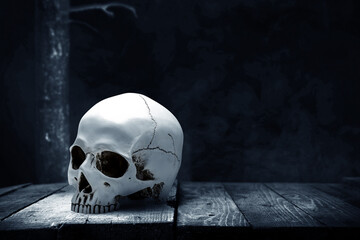 Sticker - Human skull on wooden table