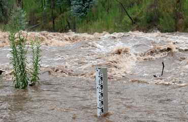 river in flood with muddy water hurtling down the river eroding the riverbanks meter stick showing w