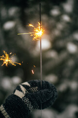 Wall Mural - Hand in cozy glove holding burning sparkler on background of pine tree branches in snow. Happy New Year! Atmospheric magic moment. Woman hand with glowing firework in evening. Happy Holidays!