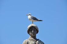 Low Angle View Of Seagull Statue Against Clear Blue Sky