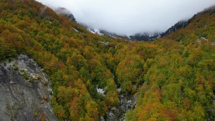 Wall Mural - High mountains covered with colorful foliage in Autumn, and misty fog over high peaks