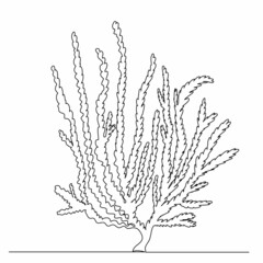 Wall Mural - algae drawing one continuous line vector