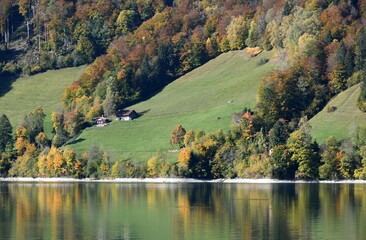 Sticker - lungern en automne