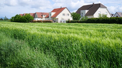 Lotissement en Alsace, France