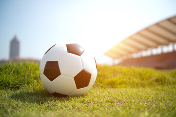 Wall Mural - Soccer football on the green grass.