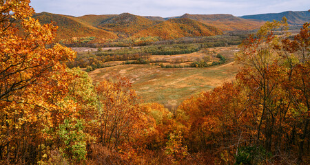 Wall Mural - The mountain autumn landscape with colorful forest