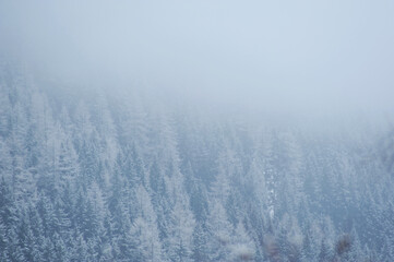 Naklejka na meble Inverno