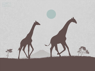 Sticker - Giraffes walk in savannah. Endangered animal family. Mother and child