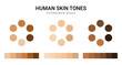 Skin tone color scale chart. Brown palette vector human skin infographic banner icon