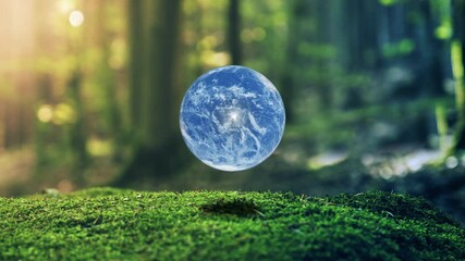 Wall Mural - photo realistic earth design in moss forrest background motion graphic animation